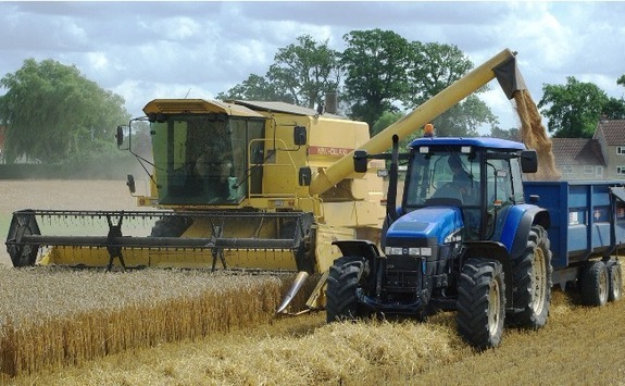 Farmers harvesting wheat from a field during late summer